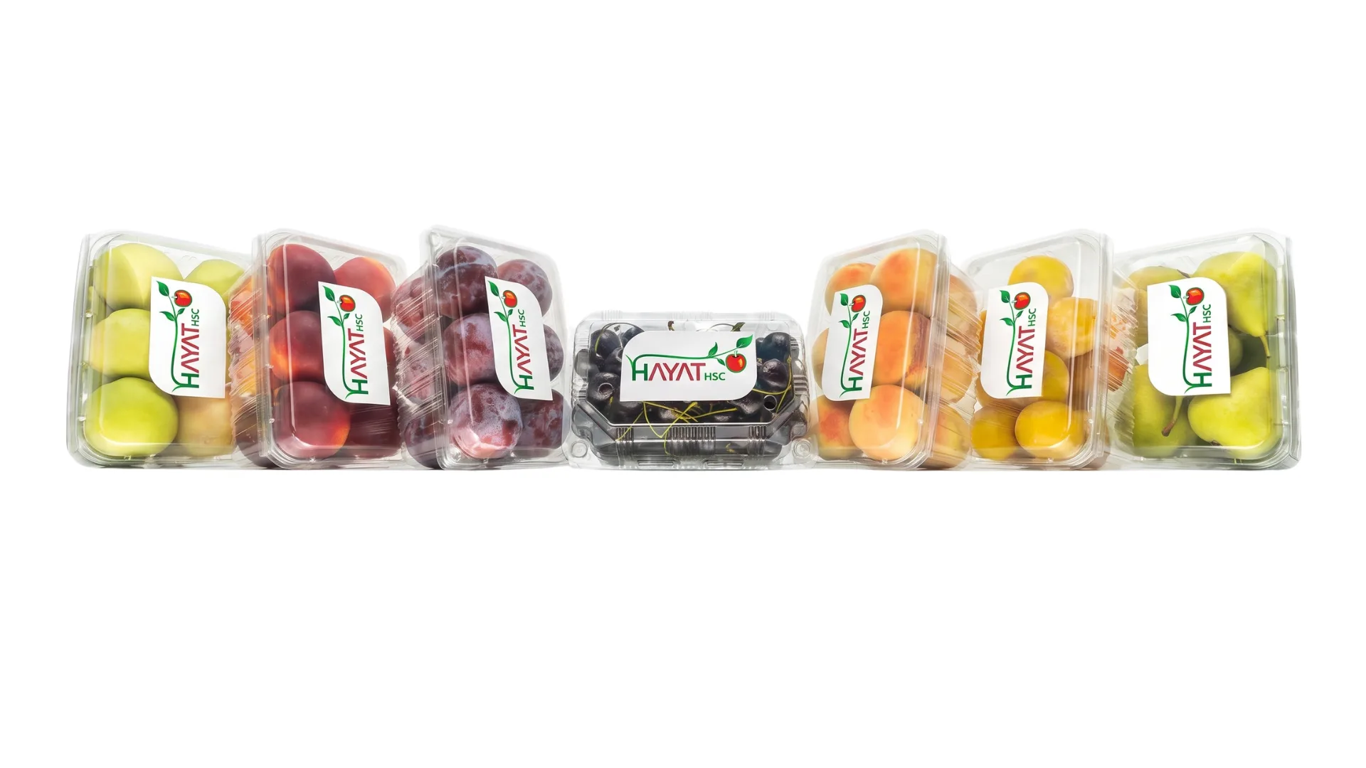 Hayat HSC branded fresh fruit containers