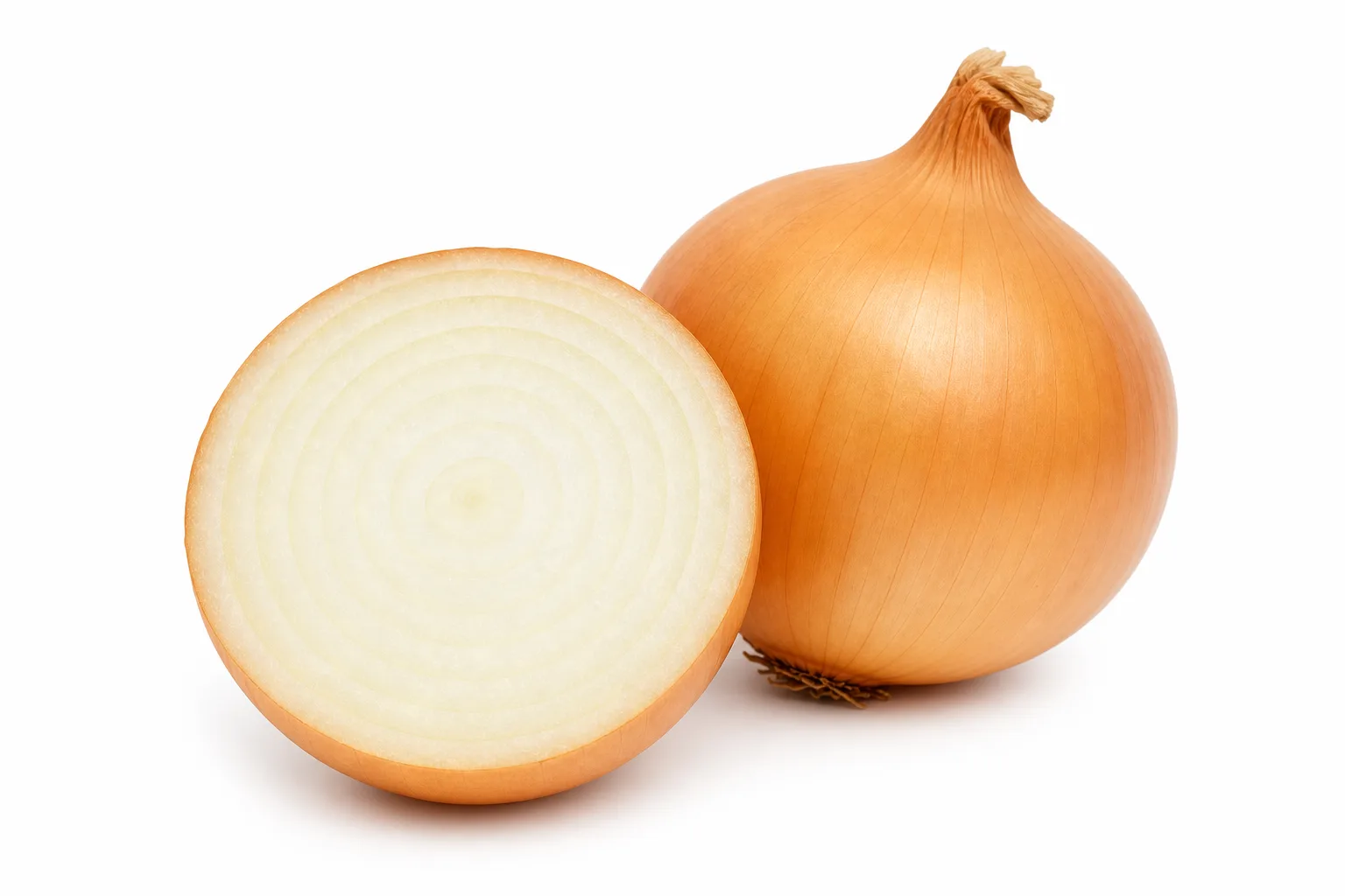 Onions, view 2