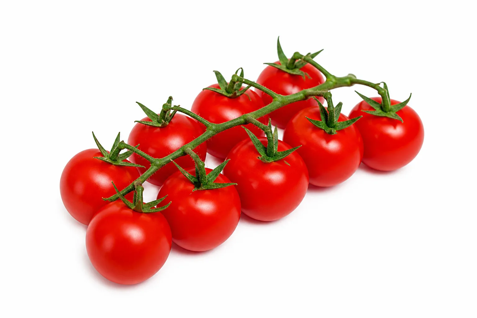 Tomatoes, view 2